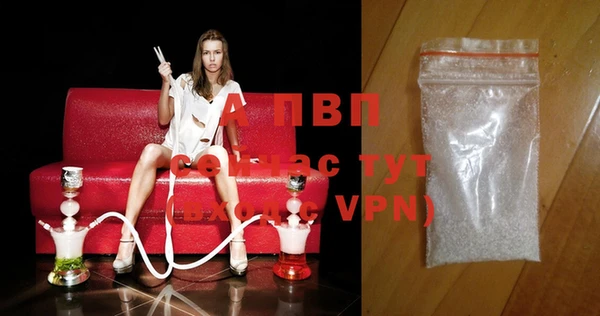 крисы Абаза