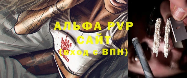 крисы Алексин